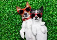 5 Simple Hacks to find Your Soul Mate