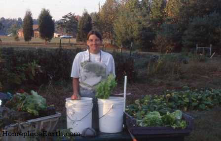 lettuce washing Cindy--BLOG