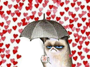 grumpy cat