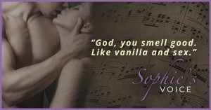 1-FB_SV_Teaser_Blogs