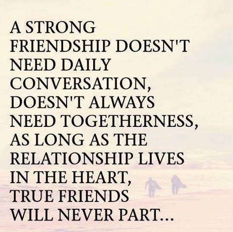 True Friends Quotes