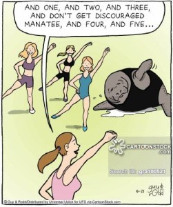 'And one, and two, and three, and don't get discouraged Manatee, and four, and five...'