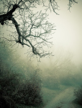 haunting road Depositphotos_23990435_s-2015