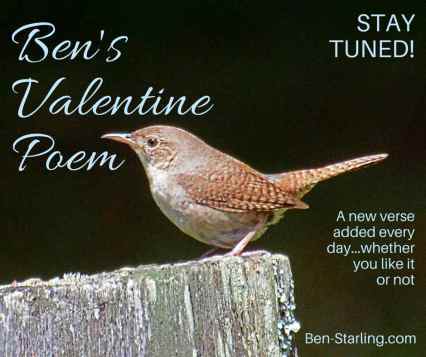 Ben's Valentine Poem_9FEB16