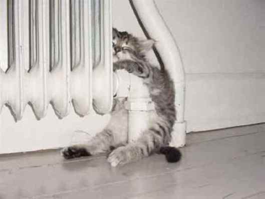 Warm1