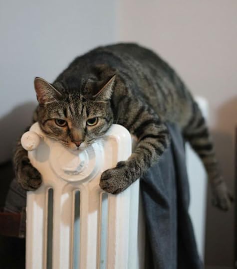 Warm3