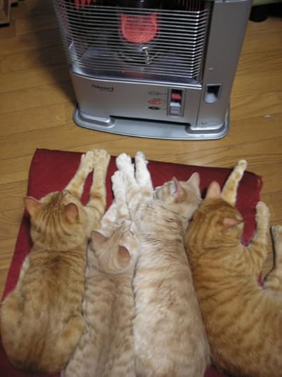 Warm7