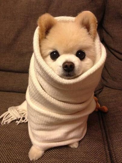 Wrapped1