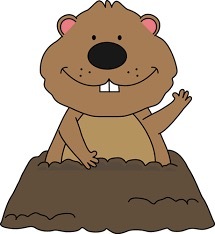 groundhog