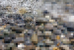 The River Stone