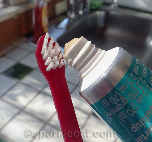 cat toothbrush and toothpaste