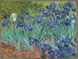 Irises, 1889