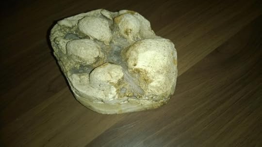 WP_20160207_20_50_23_Pro