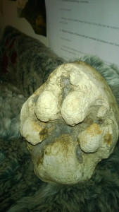 WP_20160210_20_57_07_Pro