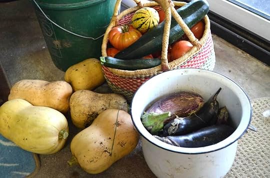 late-season-harvest