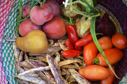 late-season-harvest-2