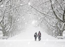 Take a walk...no matter the weather. Photo credit: hdwallpapers.com
