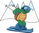 Ski turtle