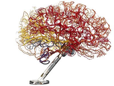 Brain