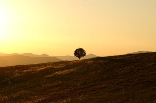 landscape background 3