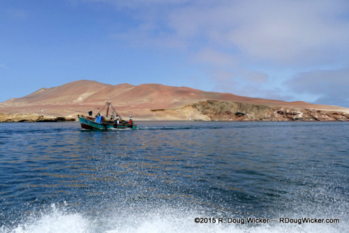Going Fishing