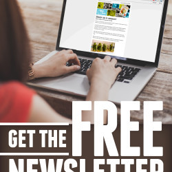 Get-the-Newsletter-GCE
