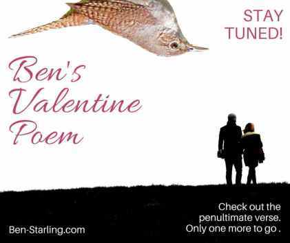 Ben's Valentine Poem 13FEB16
