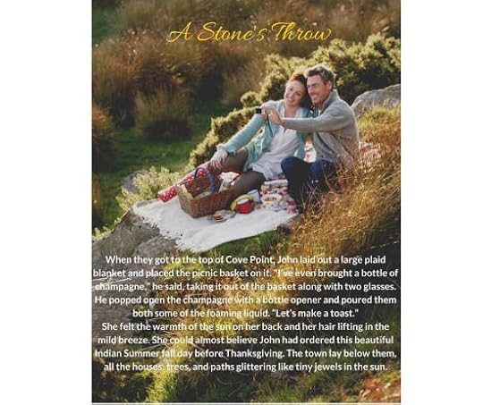 stonesthrowpicnicfinaledit