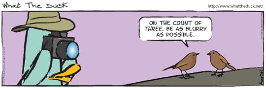 Comic #1575 at WhatTheDuck.net: Birds in front of a camera saying 'On the count of three, be as blurry as possible'