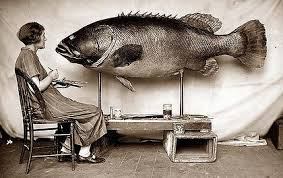 c1361010-f7a0-4198-9354-e80224f0ab31