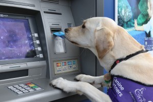 May taking card from ATM