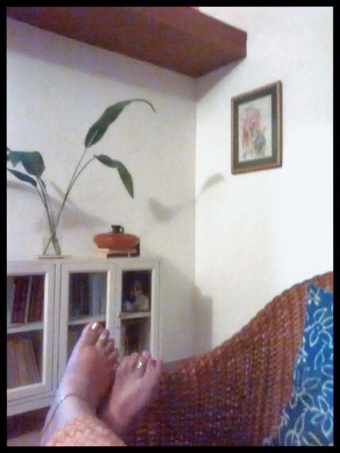 922853_10206959921210589_2279395407740615633_n