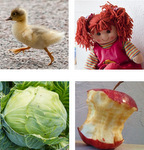 French terms of endearment