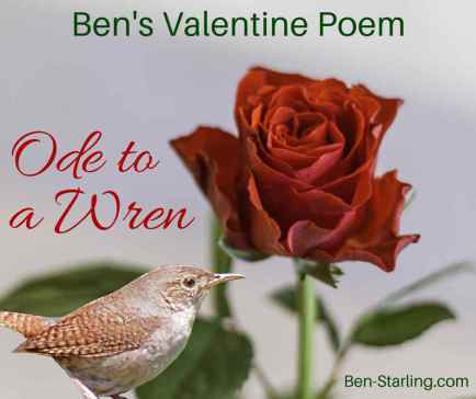 valentine final_14FEB16