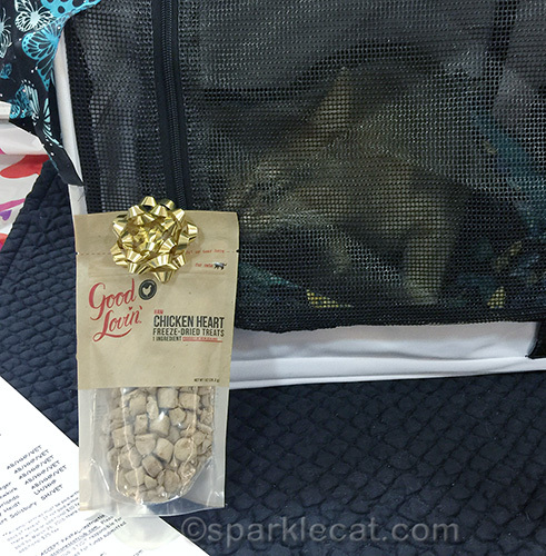 blue somali sniffs a package of freeze dried chicken treats