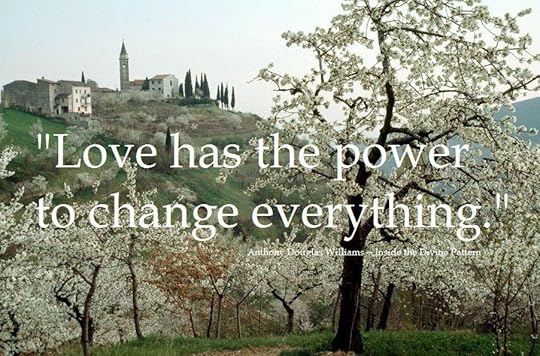 inside the divine pattern