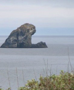 Sea Monster Yawning