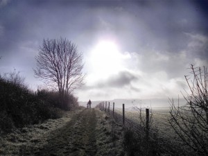 Old Age and End of Life