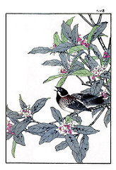 14906106578_0244872347_m