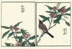 15221410191_8d6fc6f445_m