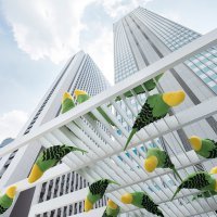 Birds_Takehisa Kamiyama_cropped