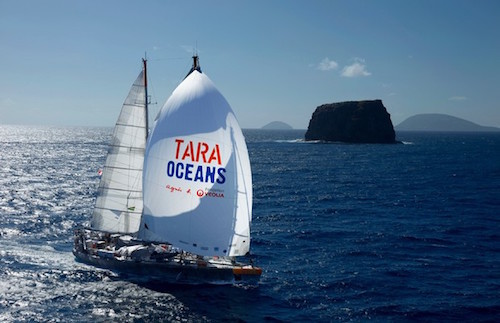 Tara Oceans.jpg