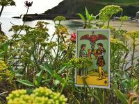 5 Tarot Steps To Sort Love.