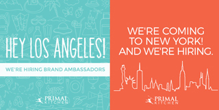 Brand Ambassador NY and LA