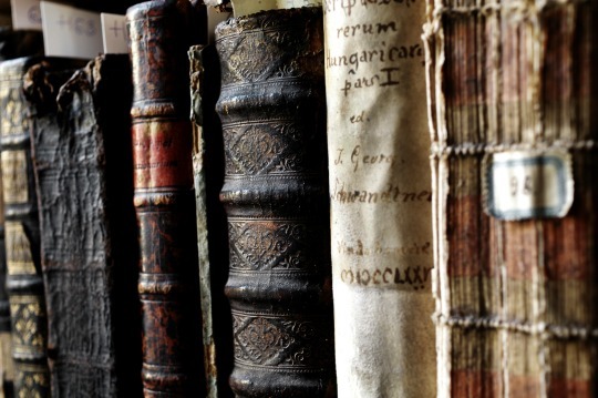 Venice-books-540w