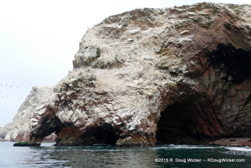 Islas Ballestas, Paracas National Reserve