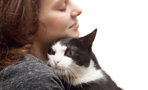 millenials-cats