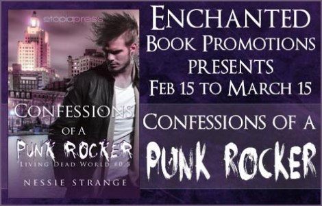 confessionspunkrockerbanner