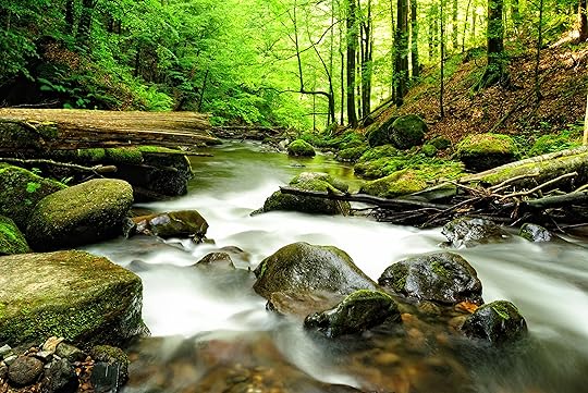 Going with flow, giving up control