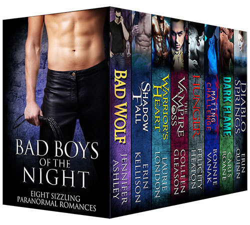 Bad Boys of the Night Boxed Set